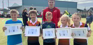International success for Dysynni players