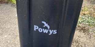 Monthly black bag collections 'an option' in Powys