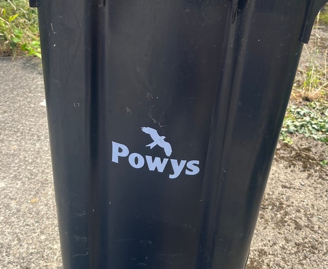 Monthly black bag collections 'an option' in Powys