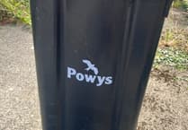 Monthly black bag collections 'an option' in Powys