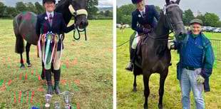 Aberaeron-bred mare shines in the show ring