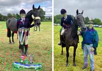 Aberaeron-bred mare shines in the show ring