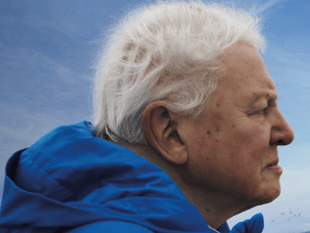 Meet the people restoring your rivers at free Ocean film screening