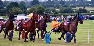 Happy Hands wins at Almeley racing