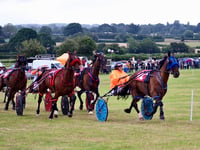 Happy Hands wins at Almeley harness racing meeting