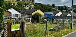Harlech garden wins Green Flag Award