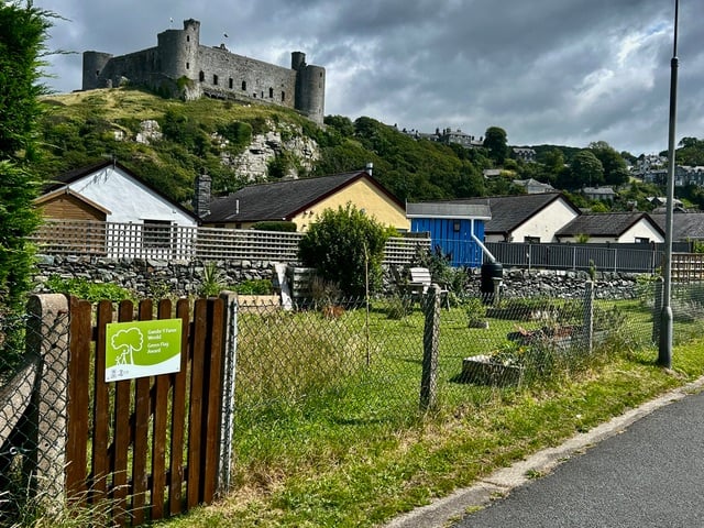 Harlech Community Garden