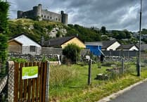 Harlech garden shines with Green Flag honour