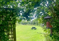 £100,000 Funding Available to Boost Nature Projects Across Ceredigion