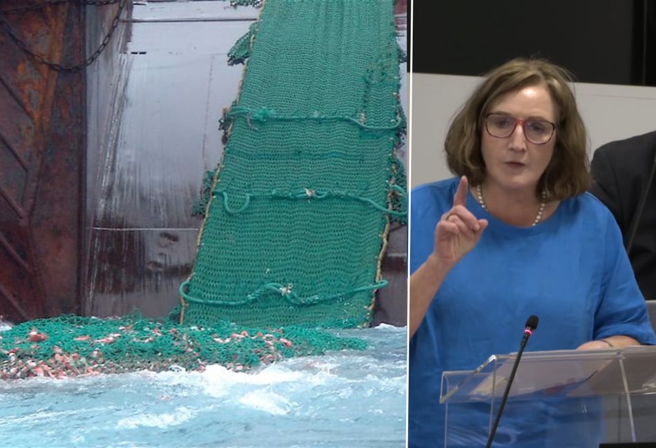 Wales' marine policy labelled 'rudderless'