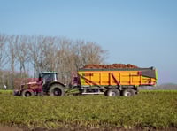 Powys council to pause sale of county farms