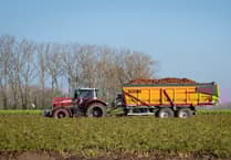 Powys council to pause sale of county farms