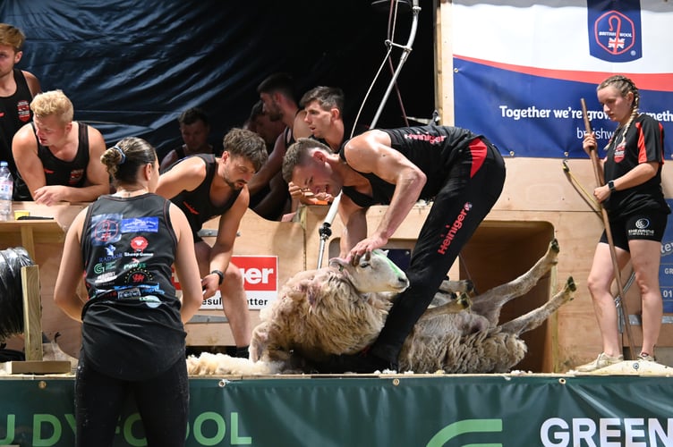 Gethin Lewis - British 8 Hour Shearing Record 12th July 2025