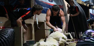 Gethin and Llyr smash British shearing record