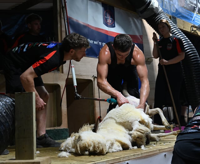 Gethin and Llyr smash British shearing record