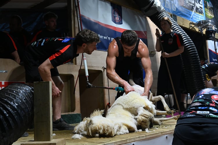 Llyr Evans - British 8 Hour Shearing Record 12th July 2025