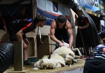 Gethin and Llyr smash British shearing record