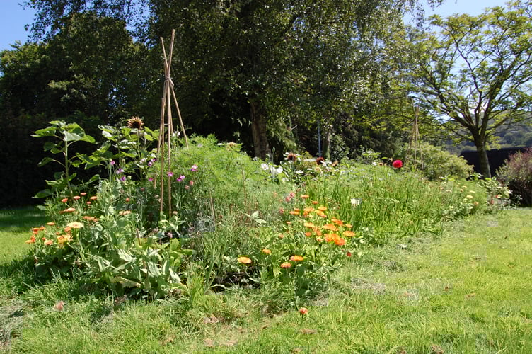 This spring, social enterprise Tymhorau Cymru created this flower bed on the home's grounds for residents to use to create their own flower arrangements
