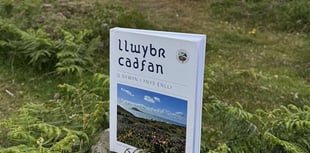 New book celebrates Welsh language and heritage
