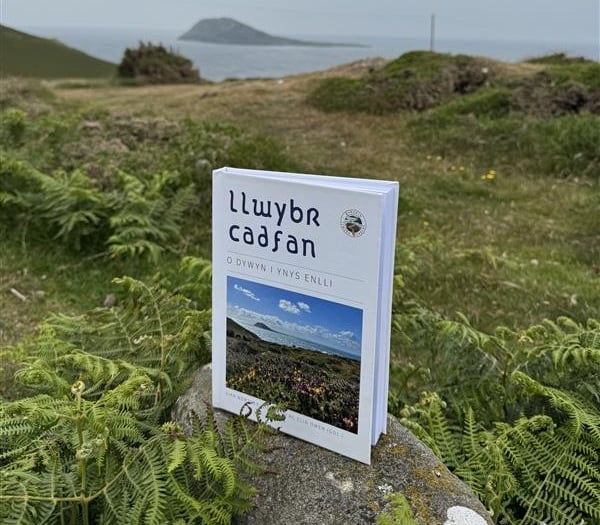 New book celebrates Welsh language and heritage