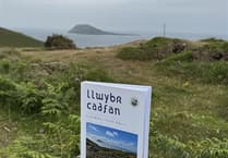 Discover Llwybr Cadfan book