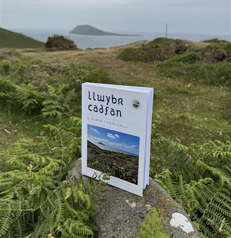 Llyfr Llywbr Cadfan