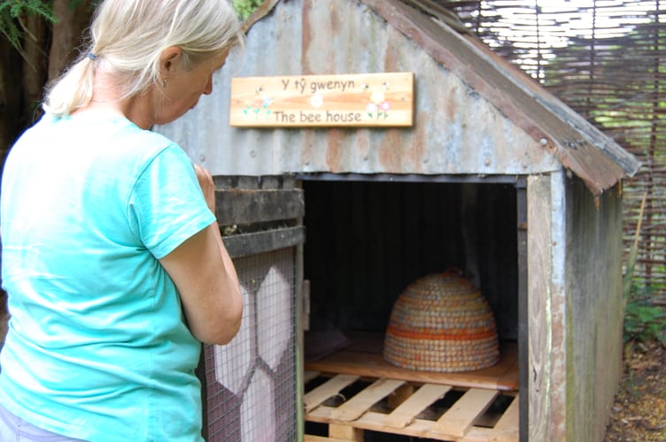 The WI hope to soon host honeybees