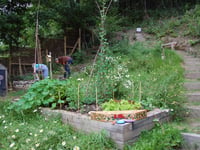 Llanafan WI wins Green Flag for turning scrubland into loved garden