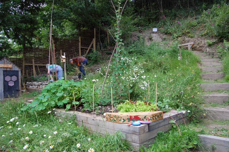 The tough patch of garden has been transformed with multiple raised beds for vegetables and sections dedicated to growing wildflowers