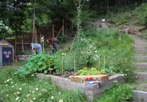 Llanafan WI wins Green Flag for transforming scrubland into loved community garden