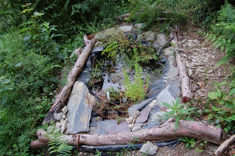 The members and volunteers created two wildlife ponds