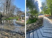 Aberystwyth School unveils wildlife haven