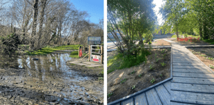 Aberystwyth School unveils wildlife haven