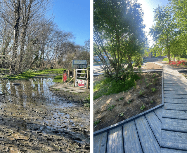 Aberystwyth School unveils wildlife haven
