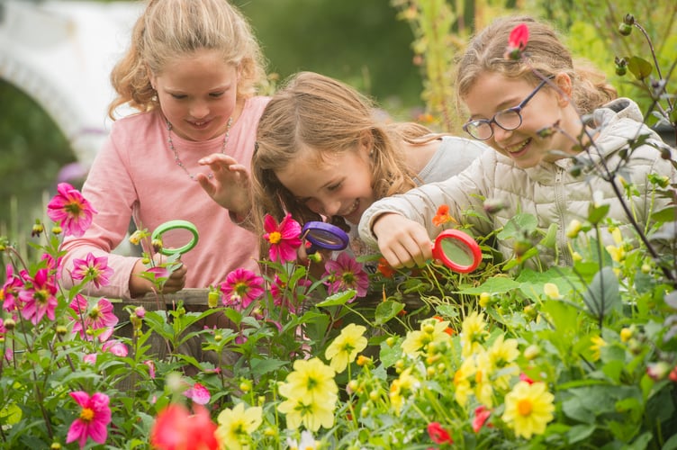Family activities will be available at the CAT open day on Saturday 2 August