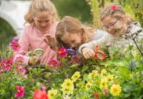 Fun for all the family at Centre for Alternative Technology summer open day