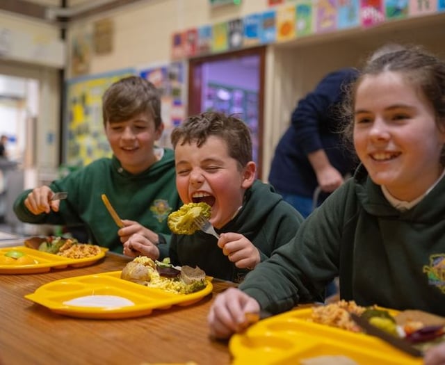  Milestone of 50m free meals for Welsh primary pupils