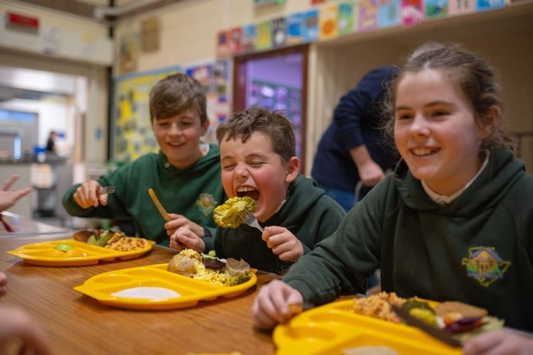  Milestone of 50m free meals for Welsh primary pupils