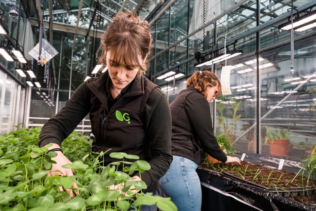 Investment boost for grassland research in Aberystwyth