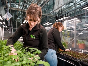 Investment boost for grassland research in Aberystwyth