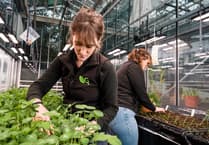 Investment boost for grassland research in Aberystwyth