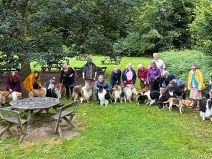 Dozens of rough collies take over Llanerchaeron for annual meet