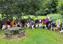 Lassie came home: Dozens of rough collies take over Llanerchaeron for annual meet