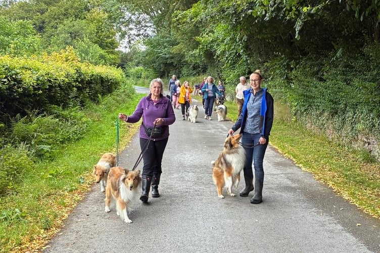 Rough Collies and owners met for their annual walk on 11 July