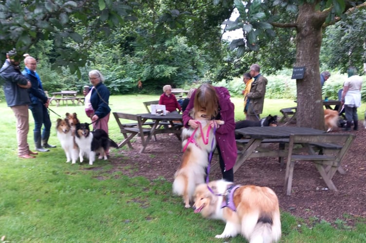The group enjoyed a walk around the grounds before refreshments at the Contis' cafe