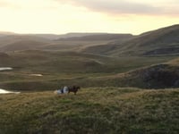 Volunteers to traverse Ceredigion boundary for Cardigan oxygen charity