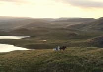 Volunteers to kayak and horse ride Ceredigion boundary for Cardigan oxygen charity