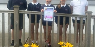 Welsh language awards for nine Gwynedd schools