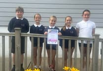 Welsh language awards for nine Gwynedd schools