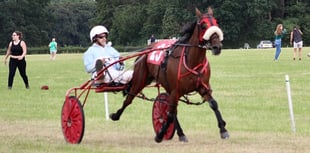 Wales & Border Counties Harness Racing: Mayhem Queen wins novice final